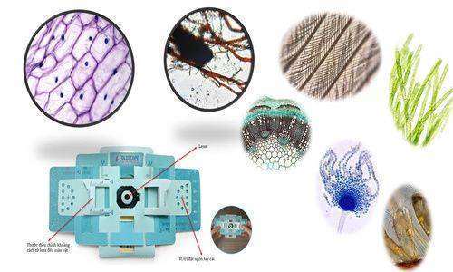 Khóa học STEM các cấp - GV